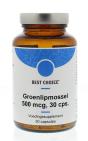 Best Choice Groenlipmossel 500 mg 30ca