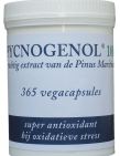 Vitafarma Pycnogenol 100 365 vegicapsules