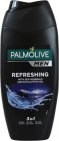 Palmolive Douchegel For Men 2 In 1 Active Care 250ml