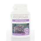 mycopower Polyporus bio 100ca
