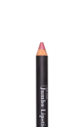 Benecos Natural Jumbo Lipstick Rosy Brown 3gr