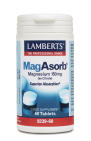 Lamberts Magasorb 60 tabletten