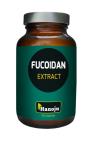 Hanoju Fucoidan Bruinalg Extract 90 Capsules